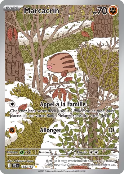 image-cartes-a-collectionner-pokemon-card-game-tcg-pkmcards-jtg-fr-165-ecarlate-et-violet-aventures-ensemble-marcacrin